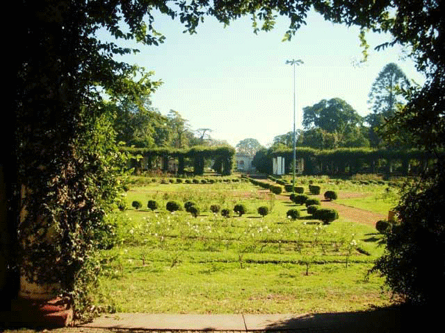 Vistas del El Rosedal