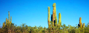 Vistas de San Pedro de Colalo