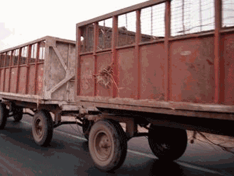 Cuidado con los CARROS