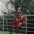 Oscar Dionisio Salomon Chaves 