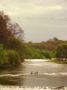 foto 01