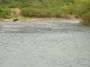 foto 03